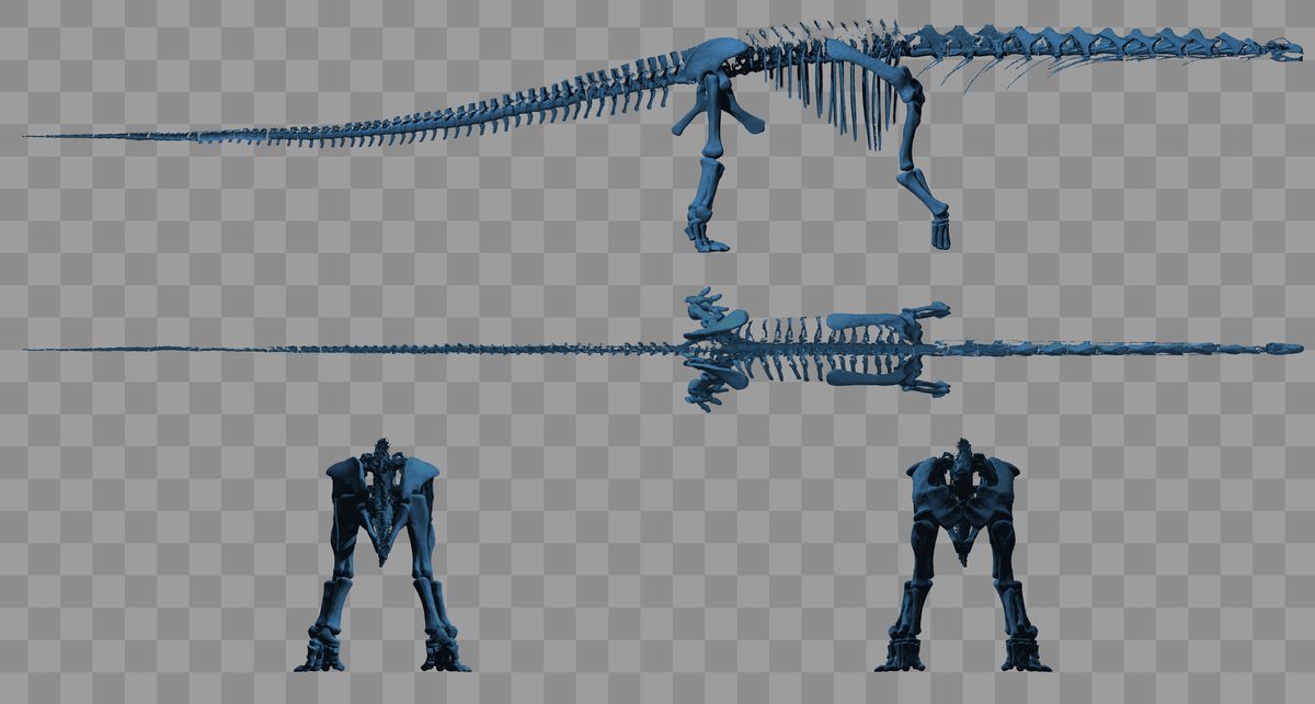 Argentinosaurus (Argentinosaurus huinculensis)